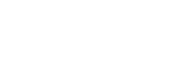 light logo